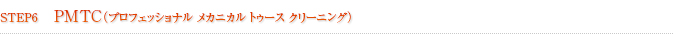 STEP6 PMTC（プロフェッショナル メカニカル トゥース クリーニング）